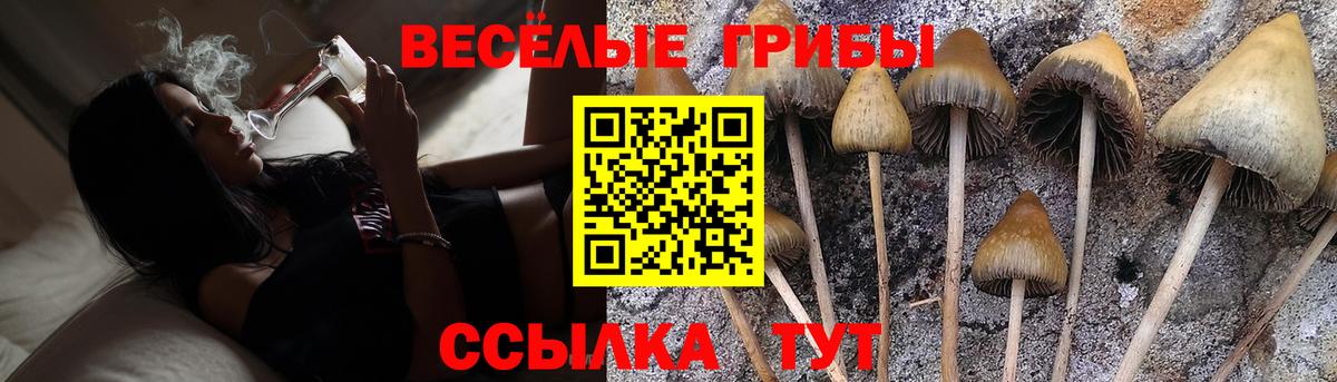 Дербент  Галлюциногенные грибы мицелий  Вход с VPN 