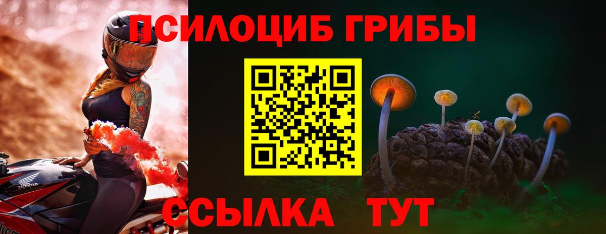Галлюциногенные грибы MAGIC MUSHROOMS Дербент
